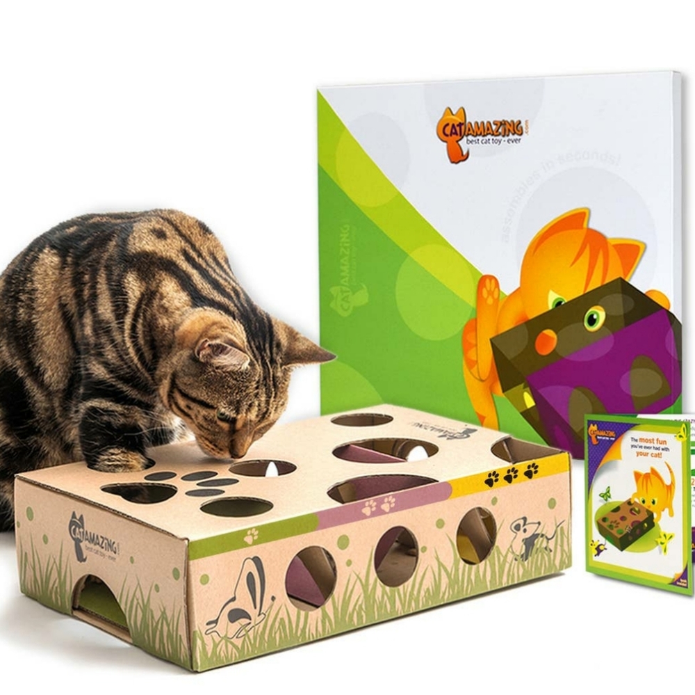 Interactive Cat Toy Treat Maze Puzzle